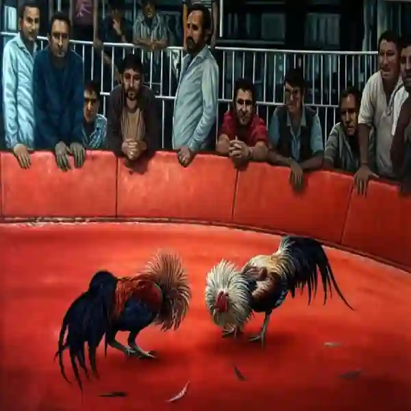 Mengenal Platform Sabung Ayam Online Terpopuler Tahun Ini