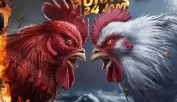 Panduan Daftar Tajen Online untuk Pemula